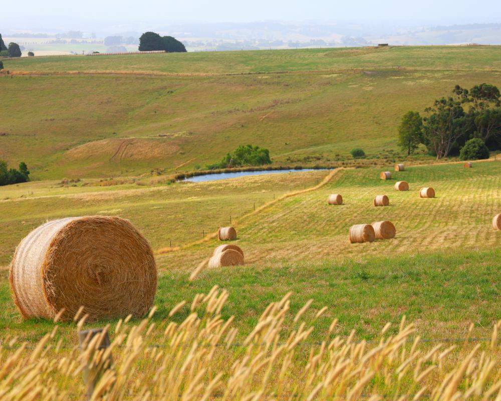 Bales on Hills