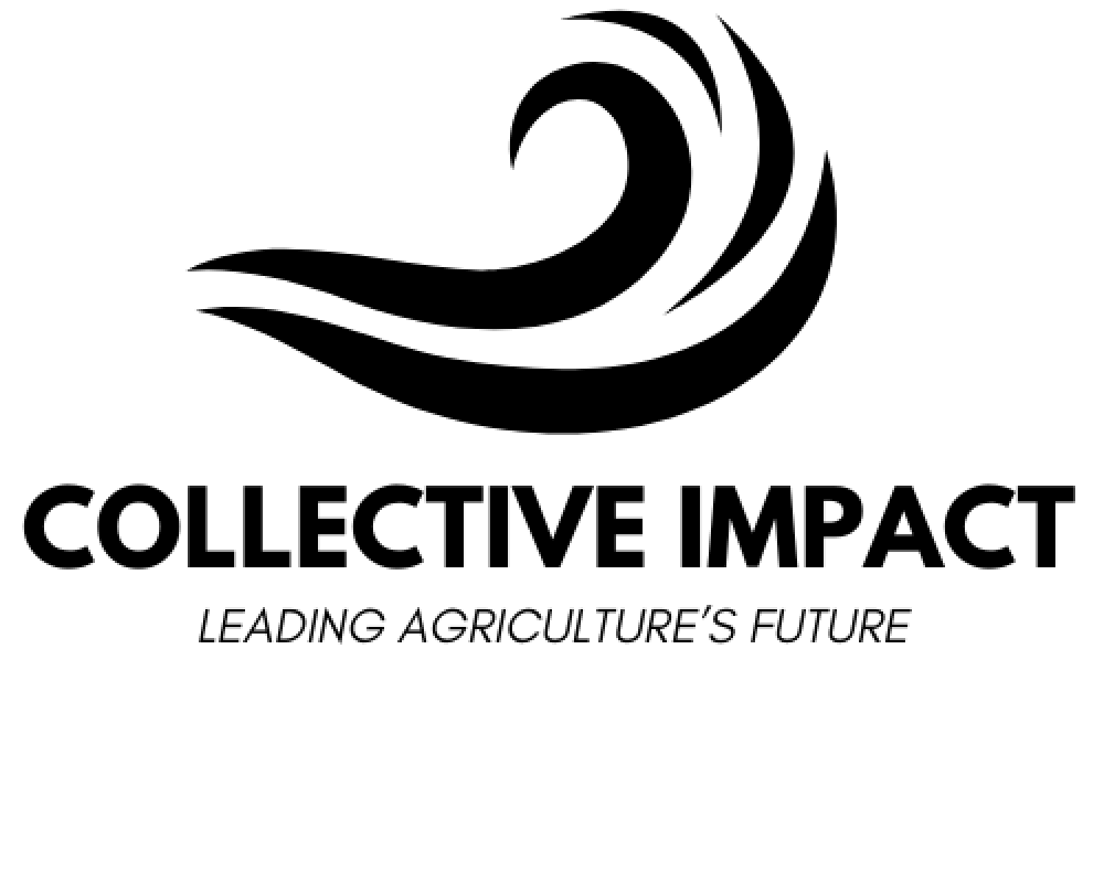 CI Black